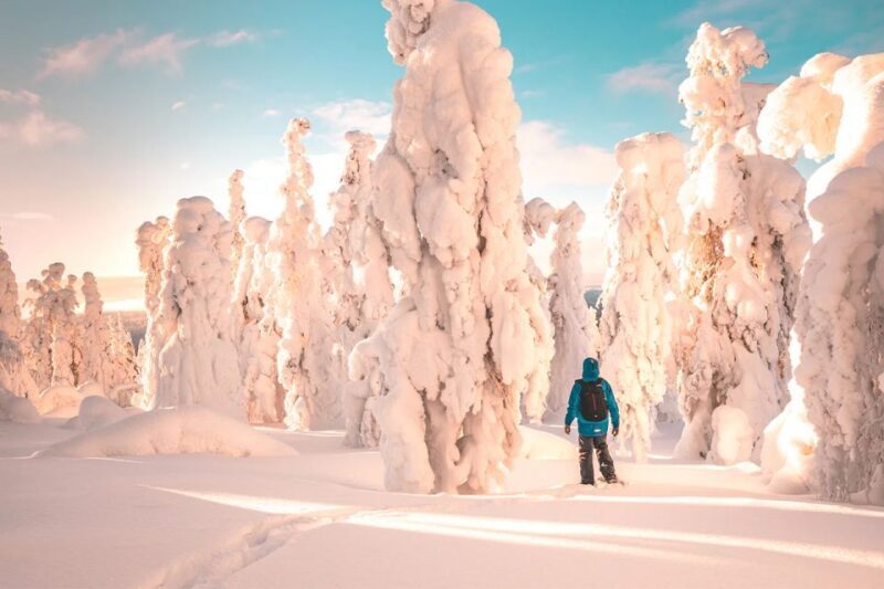Rovaniemi: Hiking and Snowshoeing Adventure in Lapland - Practical Tips for Booking and Participation