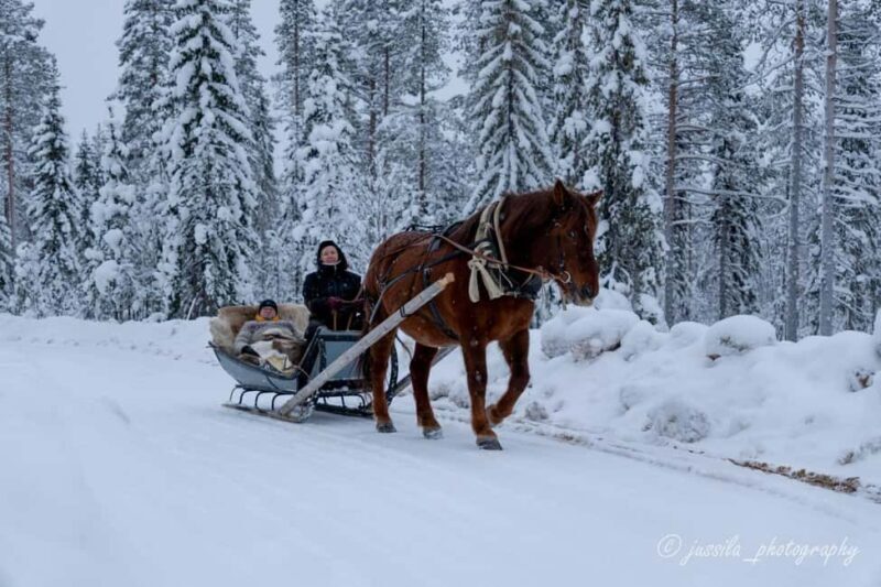 Rovaniemi: Horse-Drawn Sleigh Ride with Snacks and Transfer - What to Expect from This Sleigh Ride