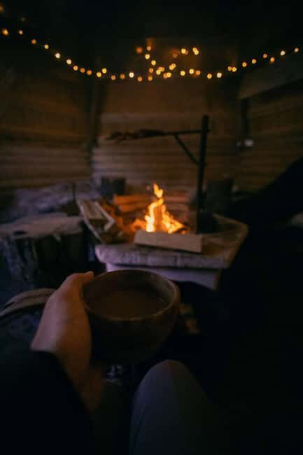 Rovaniemi: Horse-Drawn Sleigh Ride with Snacks and Transfer - The Sum Up