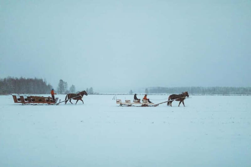 Rovaniemi: Horse Sleigh Ride under the Night Sky - Frequently Asked Questions (FAQs)