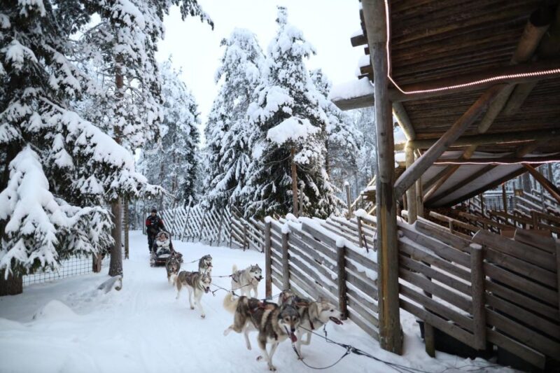 Rovaniemi: Husky and reindeer farm visit with sleigh rides - An In-Depth Look at the Tour