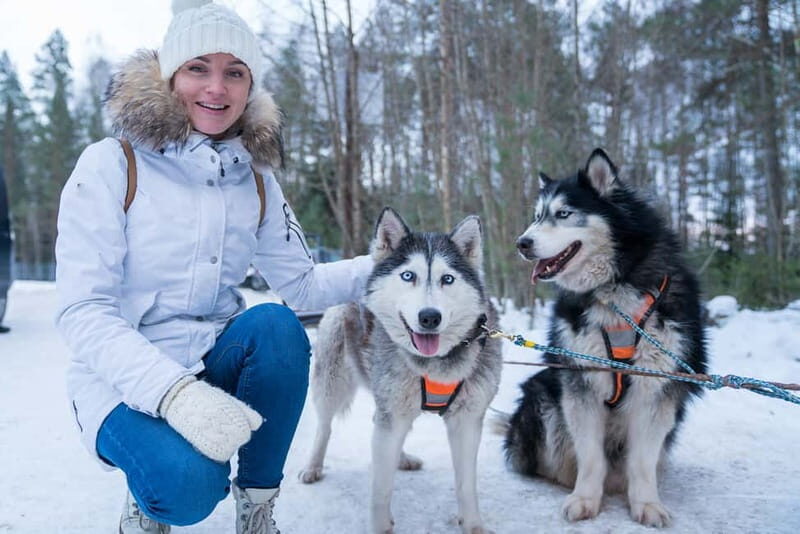 Rovaniemi: Husky Farm and Reindeer Experience - A Closer Look at the Experience