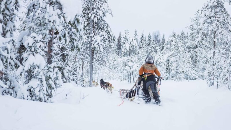 Rovaniemi: Husky Farm Visit with a Sledge Ride - Who Should Consider This Tour?