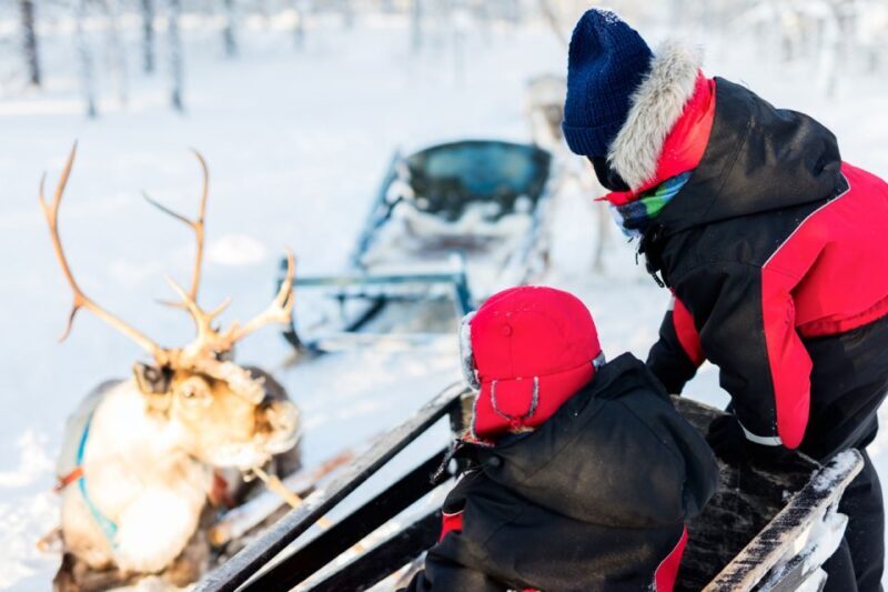 Rovaniemi: Husky & Reindeer Experience with Snowmobile Ride - Frequently Asked Questions