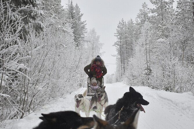 Rovaniemi Husky Safari & Campfire BBQ  610 km SelfDrive - FAQ