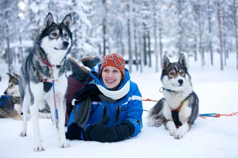 Rovaniemi: Husky Safari on a Snowy Trail - The Sum Up