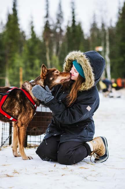 Rovaniemi: Husky Sled Ride and Farm Visit - Who Should Consider This Tour?