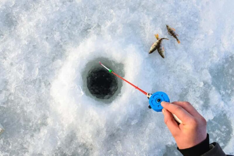 Rovaniemi: Ice Fishing Adventure - What to Expect from the Tour