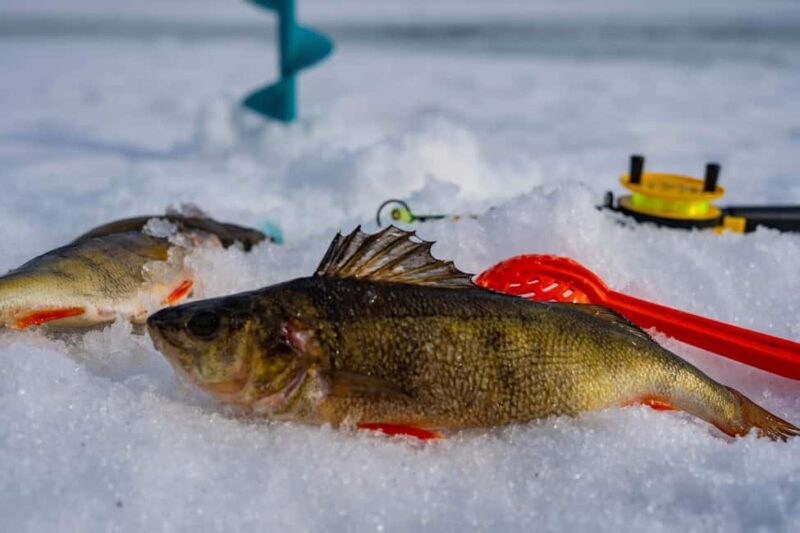 Rovaniemi: Ice Fishing, Private Sauna & Salmon Soup - FAQ