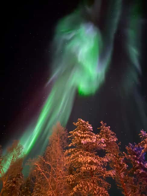 Rovaniemi: Ice Swimming, Private Jacuzzi, and Sauna - Price and Value