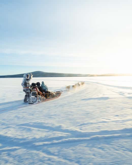 Rovaniemi: Insider 10 km Husky Sled Ride - Practical Details