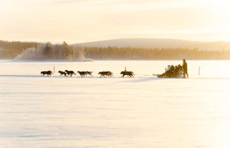 Rovaniemi: Insider 5km Husky Self Drive Tour - Practical Details and Considerations