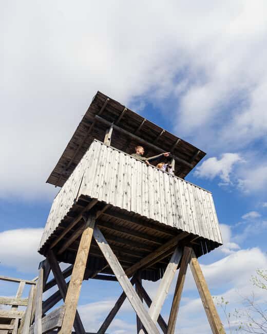 Rovaniemi: Insider Arctic Birdwatching Tour - Pricing and Value