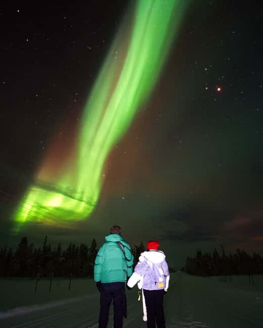 Rovaniemi: Insider Aurora Hunting - FAQ