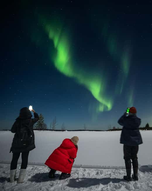 Rovaniemi: Insider Guaranteed Northern Lights Tour + Photos - Key Points