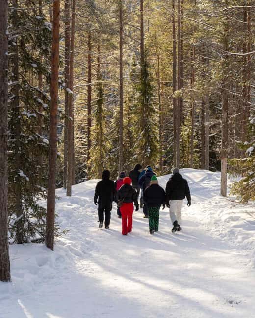 Rovaniemi: Insider Korouoma Frozen Waterfalls tour - Key Points