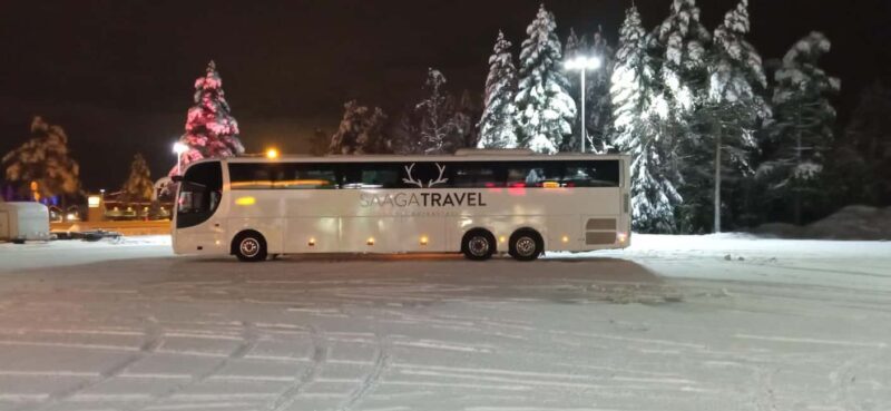 Rovaniemi: Insider Northern Lights Bus with Drinks & Snacks - What to Expect from the Northern Lights Bus Tour