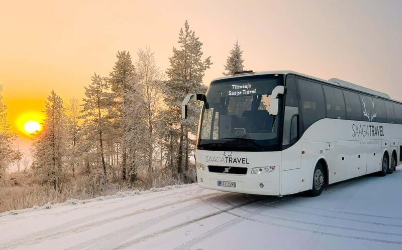 Rovaniemi: Insider Northern Lights Bus with Drinks & Snacks - Price and Value