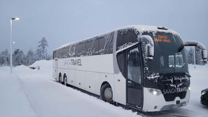 Rovaniemi: Insider Northern Lights Bus with Drinks & Snacks - Who Will Love This Tour?