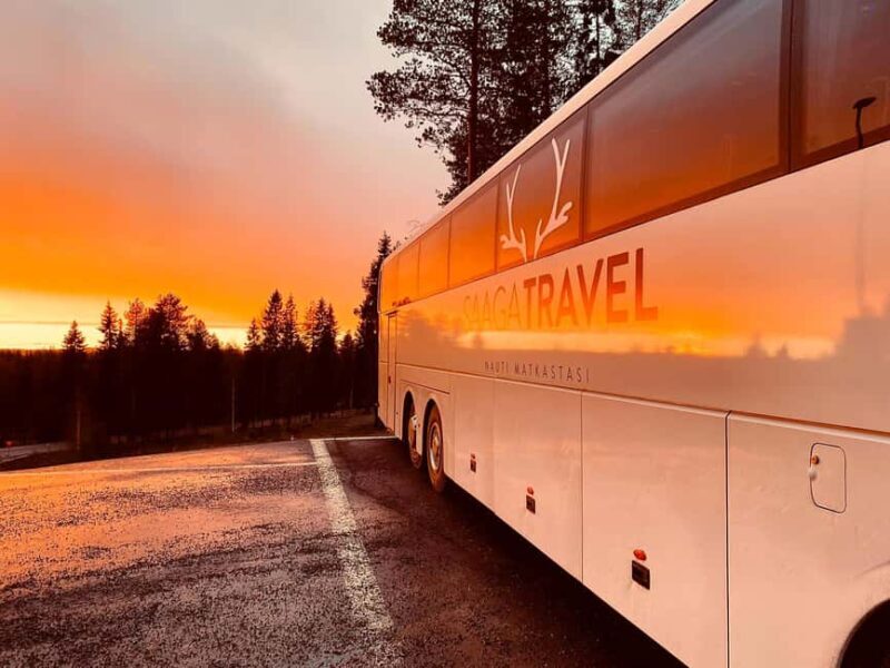 Rovaniemi: Insider Northern Lights Bus with Drinks & Snacks - Final Thoughts: Is This Tour Right for You?