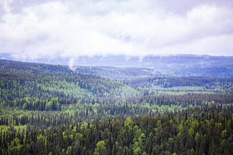 Rovaniemi: Korouoma Canyon and Auttiköngäs Falls Tour - What Are the Downsides?