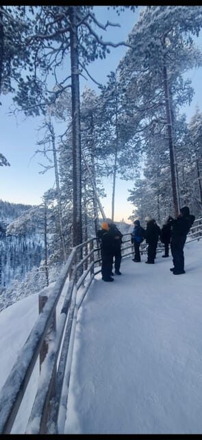 Rovaniemi: Korouoma Canyon Frozen Waterfalls Day Trip - Practical Details and Tour Logistics