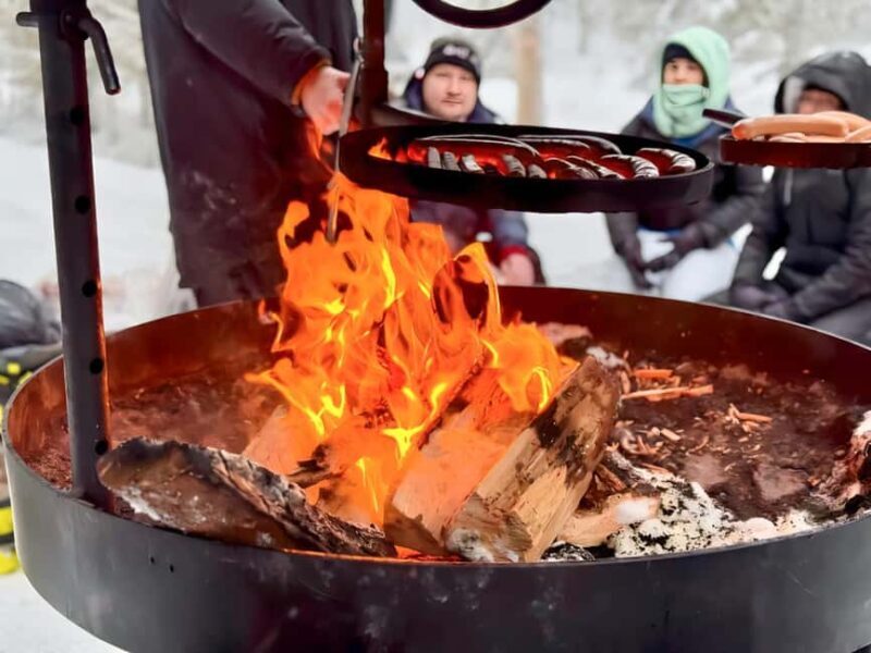 Rovaniemi: Korouoma Canyon Frozen Waterfalls Hike & BBQ - Practical Tips & Considerations