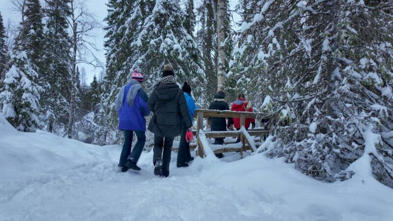 Rovaniemi: Korouoma Frozen Waterfalls Hike With Local Guide - Exploring Korouoma: What You Can Expect