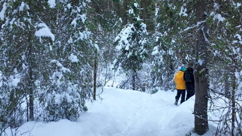 Rovaniemi: Korouoma Frozen Waterfalls Hike With Local Guide - FAQ