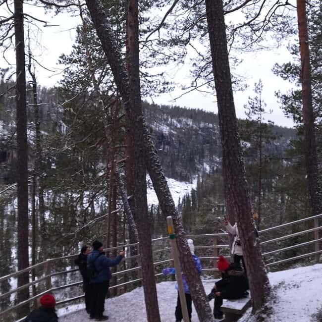 Rovaniemi: Korouoma Glacier Canyon Hike with BBQ - What to Expect from the Korouoma Glacier Canyon Hike