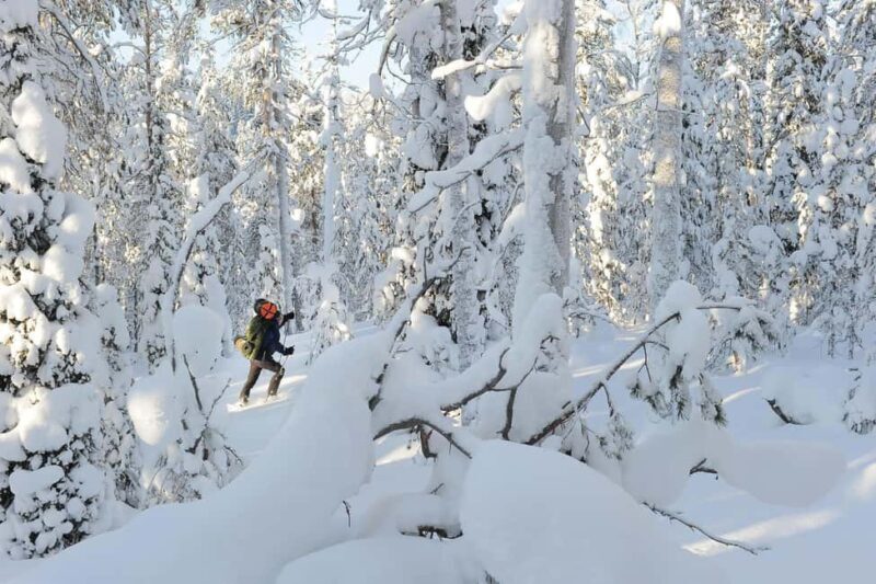Rovaniemi: Korouoma Wilderness Cafés Icefall Tour and Lunch - The Cost & Value Perspective