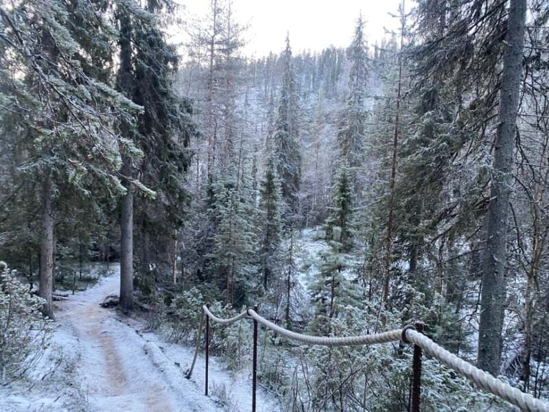 Rovaniemi: Korouoma Wilderness Cafés Icefall Tour and Lunch - Want to Book?