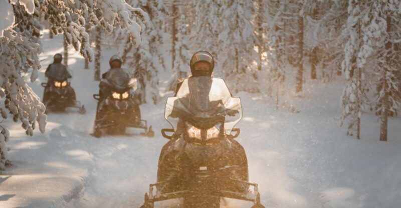 Rovaniemi: Lake Lehtojärvi Electric Snowmobile Safari Tour - Practical Tips & Considerations