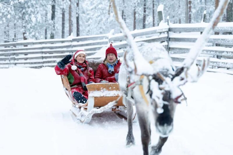 Rovaniemi: Meet Santa's Favorite Reindeer - Key Points
