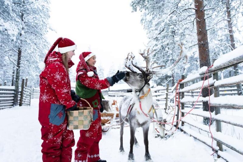 Rovaniemi: Meet Santa's Favorite Reindeer - The Itinerary: What to Expect