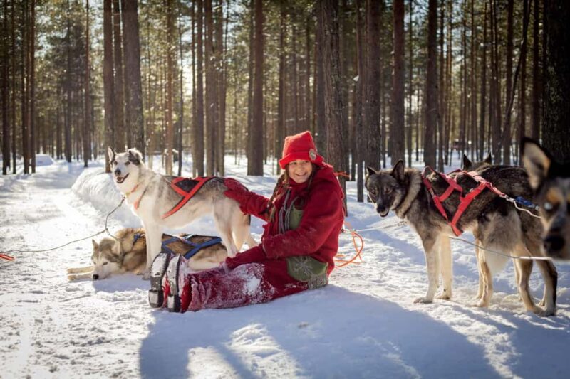 Rovaniemi: Meet Santa's Most Trusted Husky Dogs - The Journey to the Husky Farm