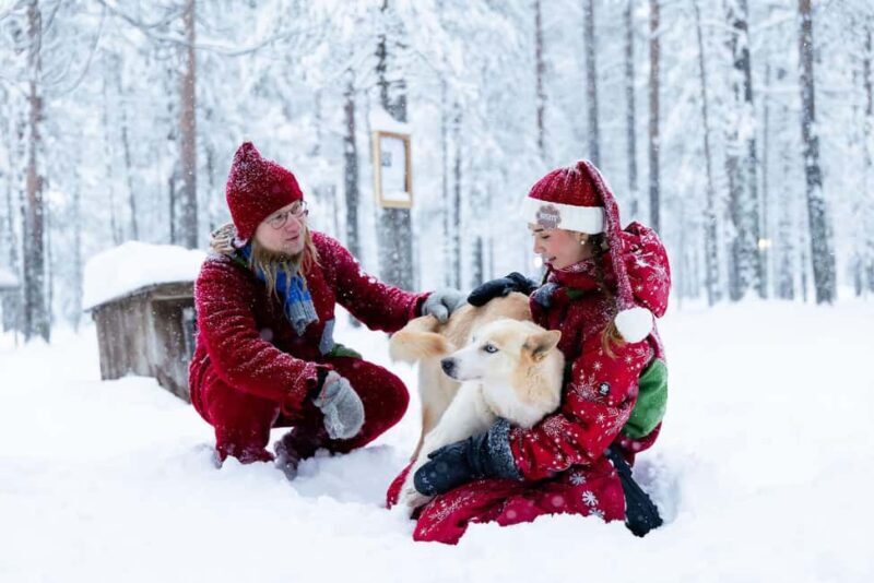 Rovaniemi: Meet Santa's Most Trusted Husky Dogs - The 3 km Husky Sled Ride