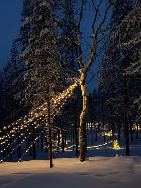 Rovaniemi, Mystical Forest Winter Trail/Pickup and Drop-off - Who Is This Tour Best For?