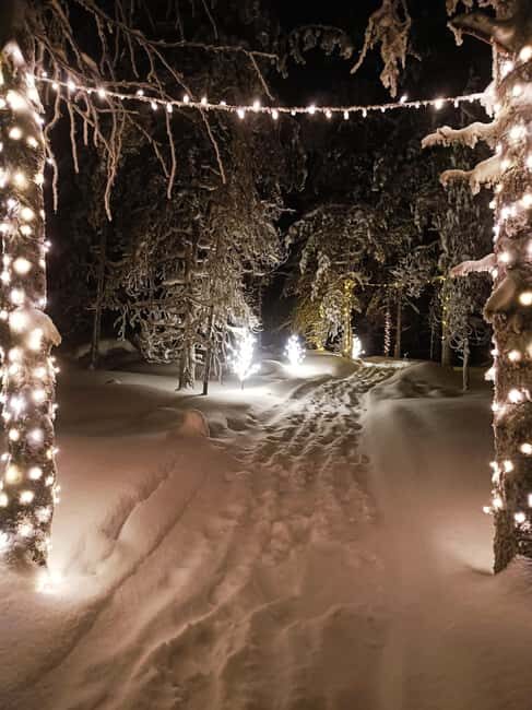Rovaniemi, Mystical Forest Winter Trail/Pickup and Drop-off - Final Thoughts