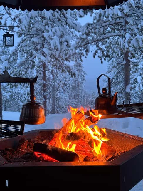 Rovaniemi: Mystical Lapland Forest Entry Ticket - What to Expect from Your Mystical Lapland Forest Visit