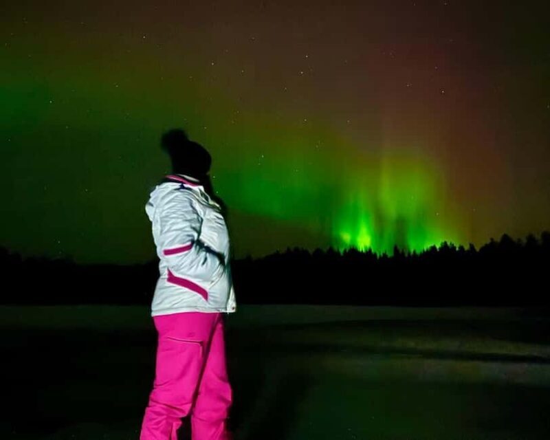 Rovaniemi: Night Tour in Search of the Aurora with BBQ - Key Points