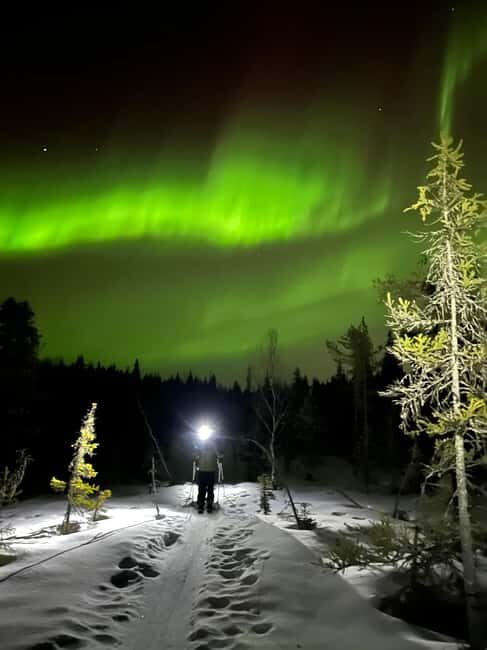 Rovaniemi: Nocturnal Skiing: Experience the Arctic's Magic - What to Expect on the Day