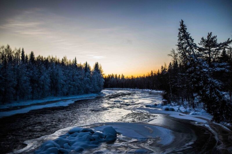 Rovaniemi: Nordic Forest Wilderness Adventure - What’s Included and Why It Matters