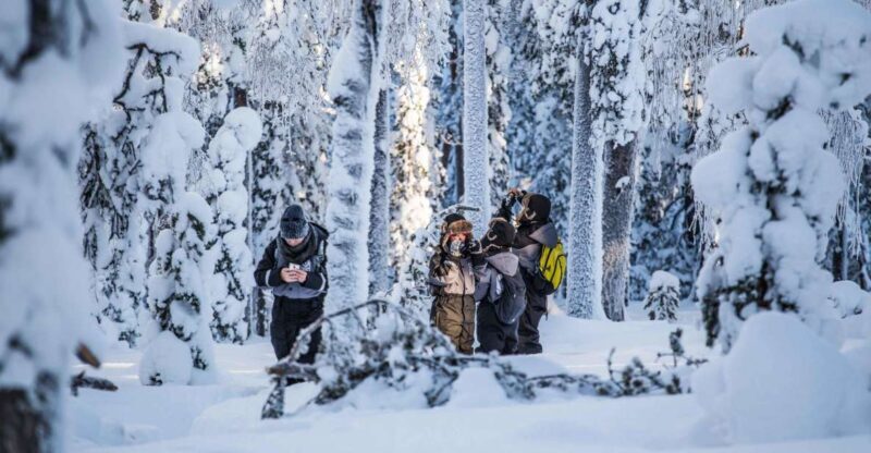Rovaniemi: Nordic Forest Wilderness Adventure - Final Thoughts
