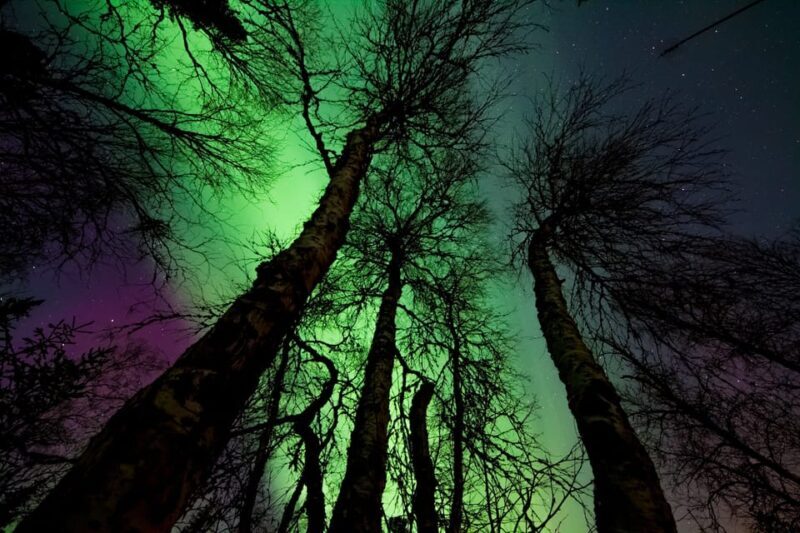Rovaniemi: Northern Light Hunt Tour with ProCamera - FAQs