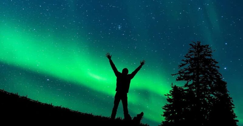 Rovaniemi: Northern Light Hunt Tour with ProCamera - Final Thoughts