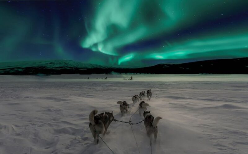 Rovaniemi: Northern Lights and Husky Sleigh Ride - What Is This Tour Really About?