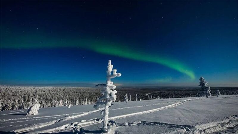 Rovaniemi: Northern Lights and Husky Sleigh Ride - The Experience: A Closer Look