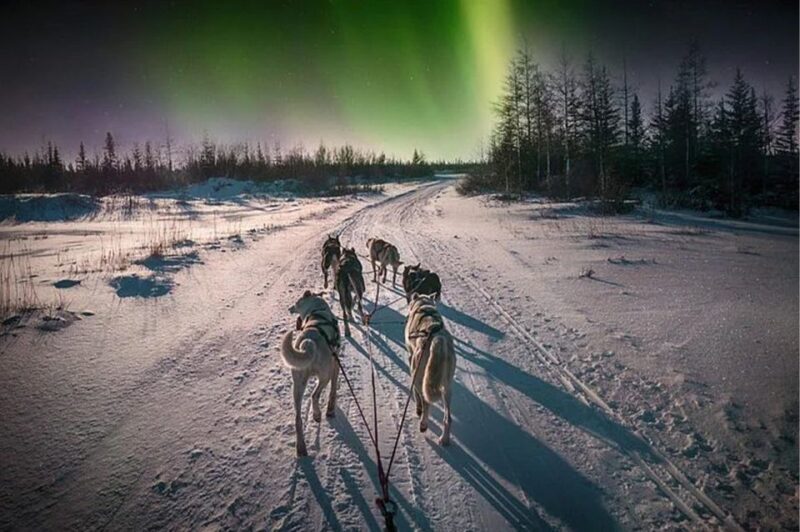 Rovaniemi: Northern Lights and Husky Sleigh Ride - FAQs