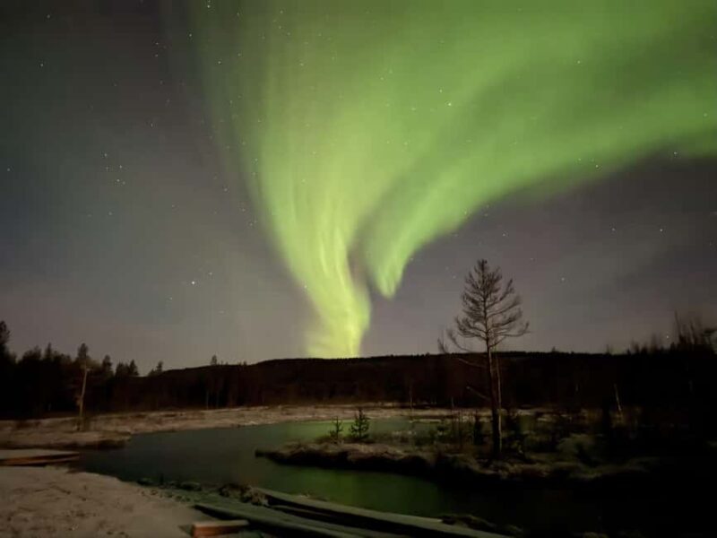 Rovaniemi: Northern Lights Electric Snow-Scooter Tour - The Reindeer and Aurora Cabin: Highlights of the Tour